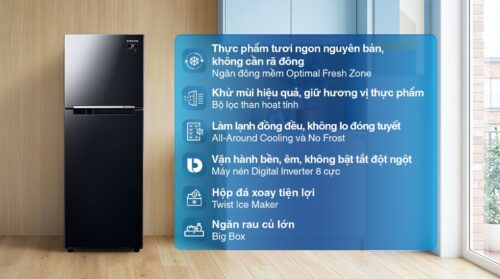 Tủ lạnh Samsung Inverter 236 lít RT22M4032BY