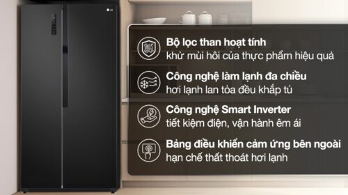 Tủ lạnh LG Inverter 519 lít Side By Side GR-B256BL