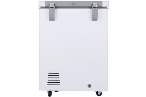 Tủ đông Sanaky 100 lít VH-1599HYK 10 11 4