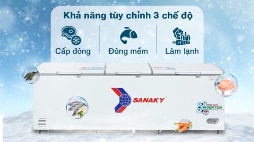 Tủ đông Sanaky Inverter 900 lít VH-1199HY3 2 3 21