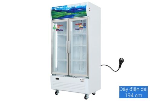 Tủ mát Sanaky 500 lít VH-6009HP 3 4 30