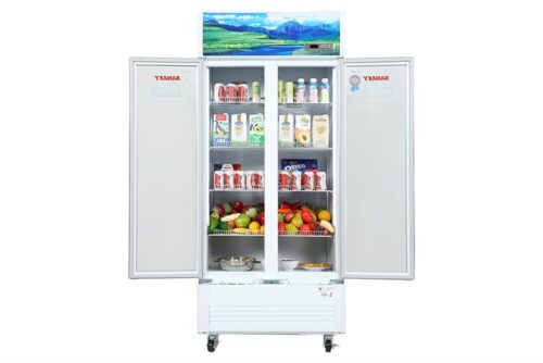 Tủ mát Sanaky 700 lít VH8009HP 3 4 31
