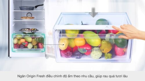 Tủ lạnh Toshiba Inverter 311 lít GR-RT395WE-PMV(06)-MG 3 4 86