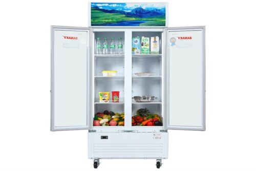 Tủ mát Sanaky 500 lít VH-6009HP 4 5 25