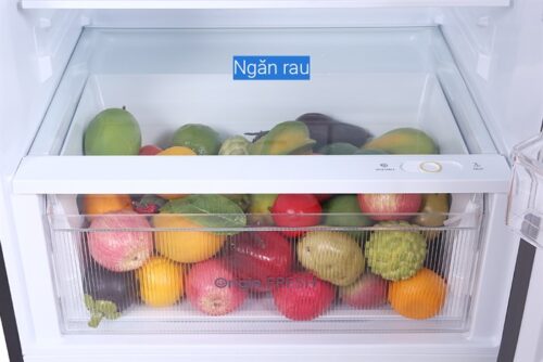 Tủ lạnh Toshiba Inverter 407 lít GR-RT535WE-PMV(06)-MG 7 8 65
