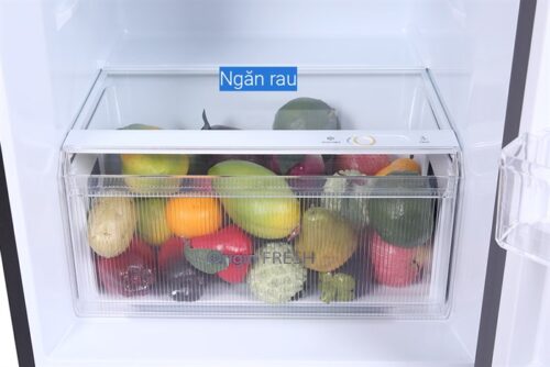 Tủ lạnh Toshiba Inverter 311 lít GR-RT395WE-PMV(06)-MG 8 9 51