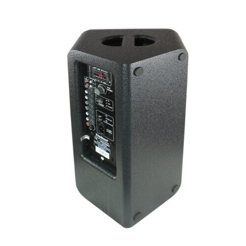 Loa kéo DALTON TS-10G300X 3 Loa kéo DALTON TS-10G300X 02