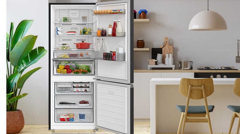 Tủ Lạnh Ngăn Đá Dưới Tại Bình Dương - Thiết Kế Hiện Đại