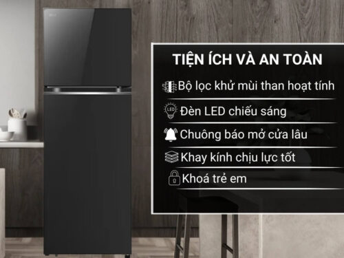 Tủ lạnh LG Inverter 335 lít LTB33BLG