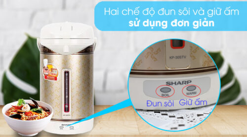 vi vn che do 1